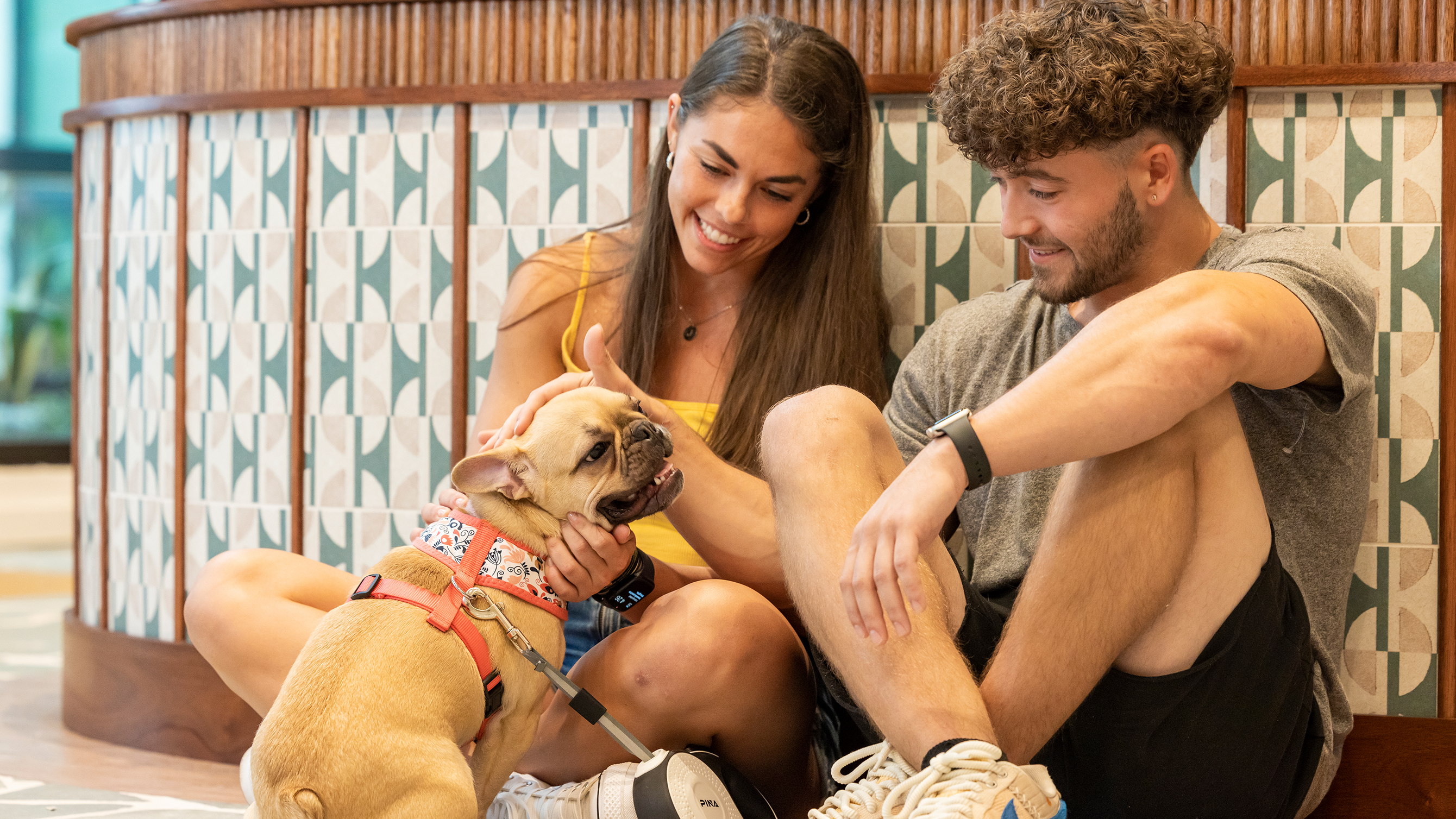 Two people petting a dog