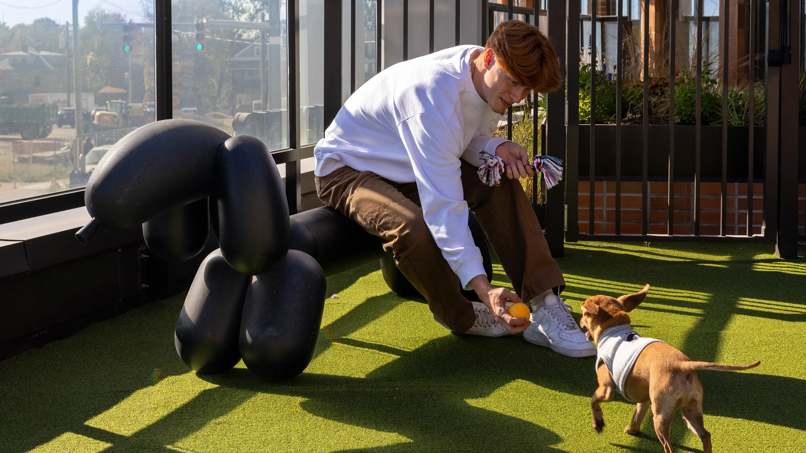 man playing with a small dog